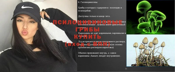 дмт Белокуриха