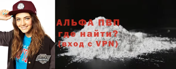 дмт Белокуриха
