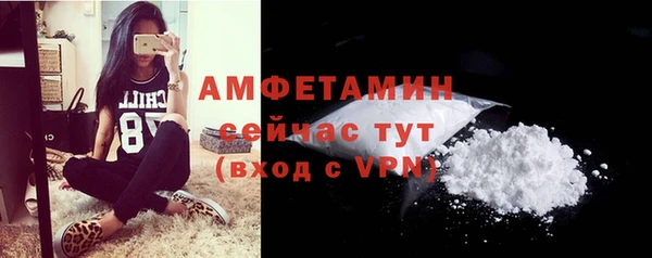 дмт Белокуриха