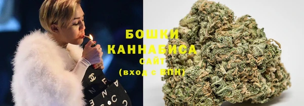 дмт Белокуриха